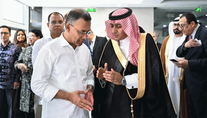 রোহিঙ্গা সমস্যা সমাধানে ওআইসিভুক্ত দেশগুলোর সমর্থন চাইলেন প্রধানমন্ত্রী