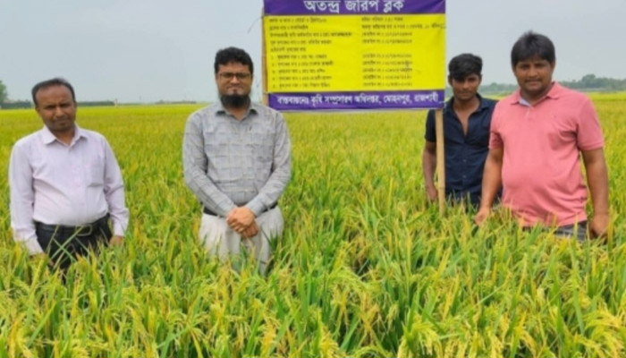 মোহনপুর কৃষি কর্মকর্তার প্রচেষ্টায়  কৃষিতে অভাবনীয় সাফল্য