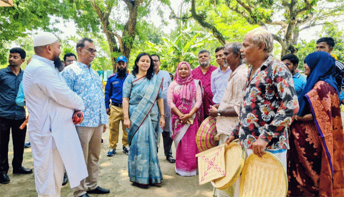প্রকল্প বাস্তবায়নে মনোযোগ দিতে বললেন ডিসি আসমা শাহীন