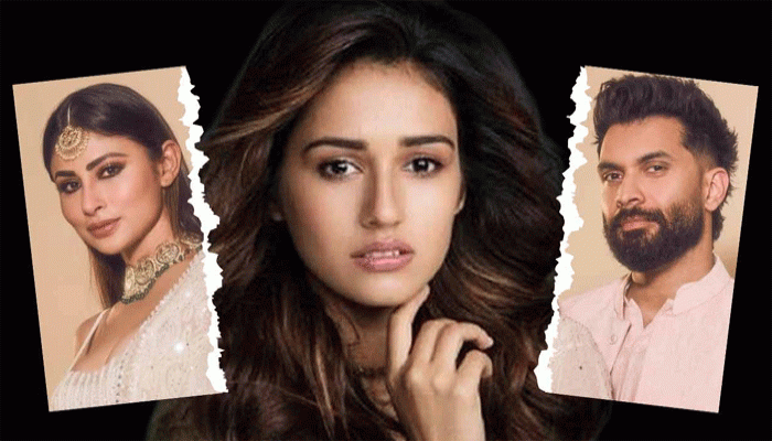 ‘মৌনীর বিয়েটা ভেঙেই ছাড়লেন’! সূরজের সঙ্গে বিচ্ছেদ হতেই কেন দিশার নাম টানা হচ্ছে?