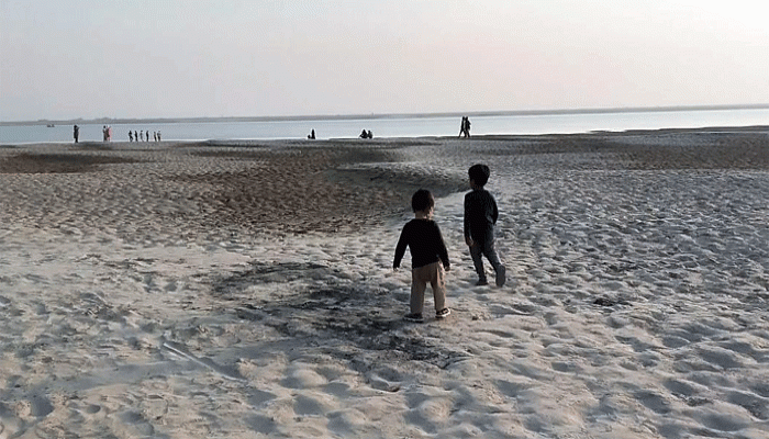 ফারাক্কার প্রভাবে বিলুপ্তির পথে মাছ ও জলজ প্রাণী, আশার নাম পদ্মা ব্যারেজ