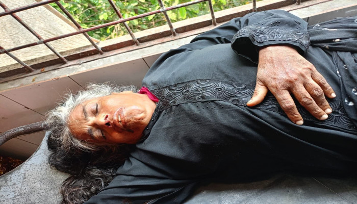 কুষ্টিয়ায় বাসের ধাক্কায় বৃদ্ধ নিহত, আহত স্ত্রী