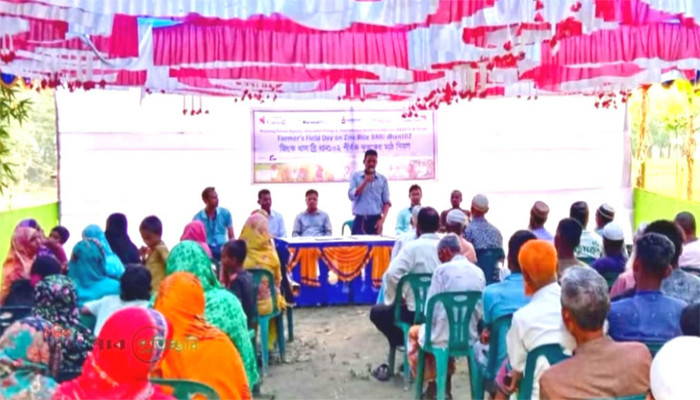 ঠাকুরগাঁওয়ে জিংক ব্রি ধান-১০২ শীর্ষক কৃষক মাঠ দিবস অনুষ্ঠিত