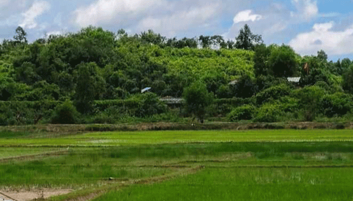 বান্দরবান সীমান্তে মাইন বিস্ফোরণে নিহত ৩