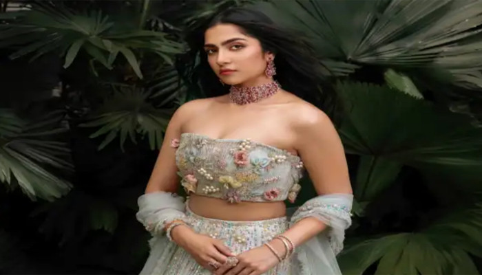 ডিপফেকের শিকার অভিনেত্রী রুক্মিণী বসন্ত