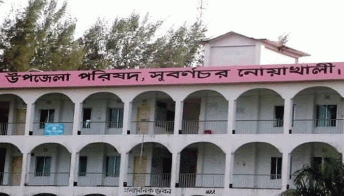 ভিজিএফের চাল চাওয়ায় নারীকে জুতাপেটার অভিযোগ নারী ইউপি সদস্যের বিরুদ্ধে
