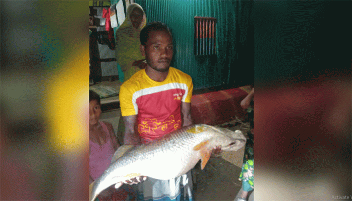 নদীর তীরে হাঁটতে গিয়ে পেলেন ২০ কেজির কোরাল মাছ
