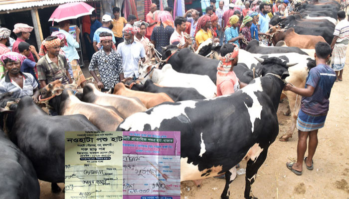 রাজশাহী সিটি হাটে অতিরিক্ত টোল আদায়ের অভিযোগ, জড়িত রাজনৈতিক সিন্ডিকেট