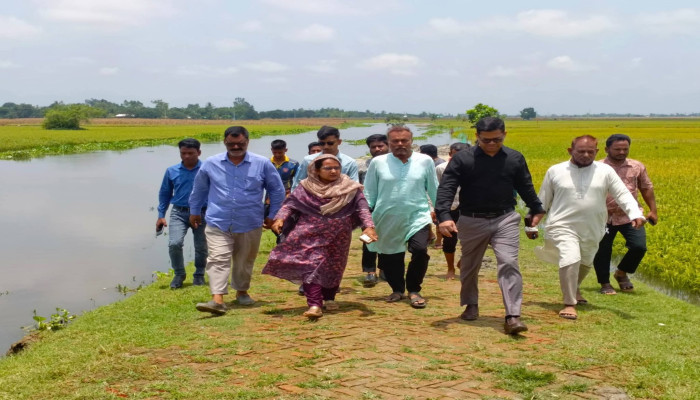 রাণীশংকৈলে খাল-খনন কার্যক্রম পরিদর্শনে জেলা প্রশাসক- মোহাম্মদ রফিকুল হক