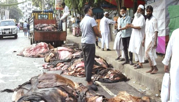 সরকার দাম বাড়ালেও ঠাকুরগাঁওয়ে চামড়া শিল্পে ধস: ন্যায্যমূল্য না পেয়ে হতাশ বিক্রেতারা
