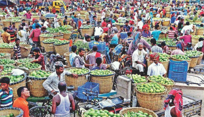 রাজশাহীর আমবাজারে ধস, উৎপাদন খরচও উঠছে না চাষিদের