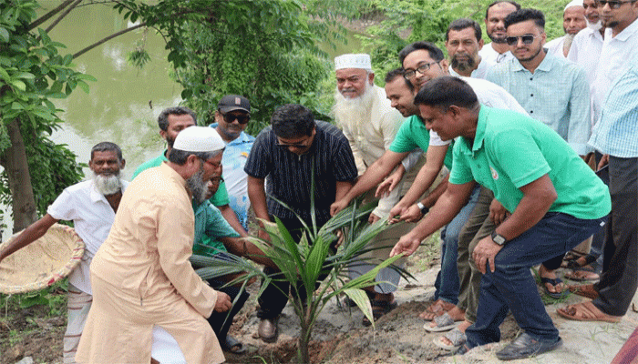 সিংড়ায় বিশ্ব পরিবেশ দিবসে বৃক্ষ রোপণ কর্মসূচি