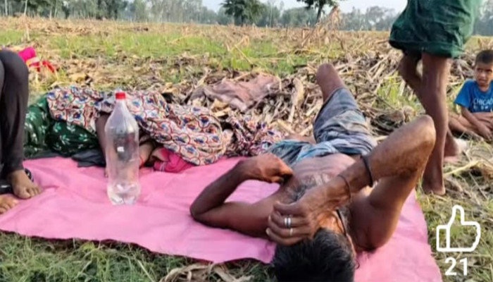 ঠাকুরগাঁওয়ের সীমান্তে ১১ জনকে পুশইনে বাঁধা: নো-ম্যানস ল্যান্ডে তাদের করুণ দিনযাপন