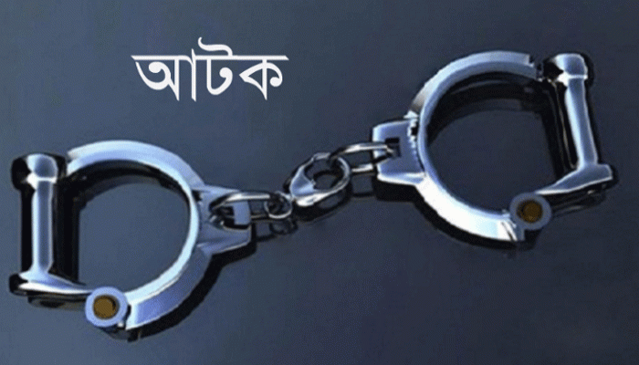 মান্দায় আম পাড়াকে কেন্দ্র করে বৃদ্ধকে পিটিয়ে হত্যা , আটক ২