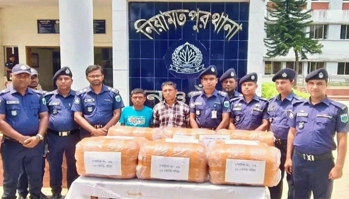 নিয়ামতপুরে ৪০ লাখ টাকার গাঁজা সহ মাদক কারবারী গ্রেপ্তার ২