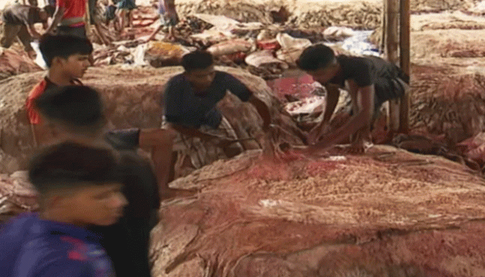 এবার ৪১ লাখ পশুর চামড়া নষ্ট, সংরক্ষণ ৬০ লাখ: বাণিজ্যমন্ত্রী