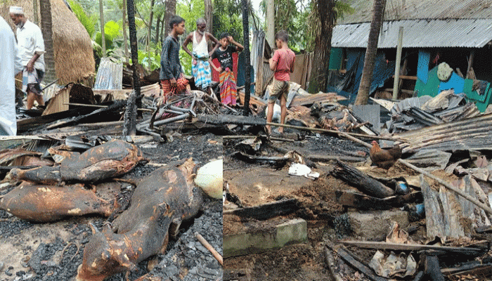নষ্ট মিটারের শর্ট সার্কিটে পুড়ল কৃষকের বসতঘরসহ ৪ গরু, পল্লী বিদ্যুতের বিরুদ্ধে অবহেলার অভিযোগ