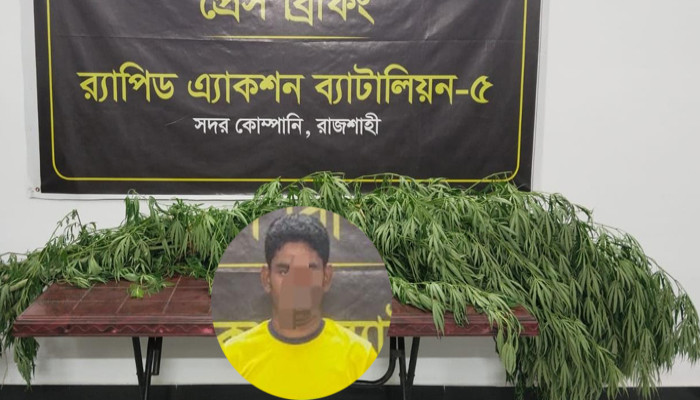 পুঠিয়ায় র‍্যাবের অভিযানে ৬ গাঁজা গাছসহ মাদক কারবারী গ্রেপ্তার