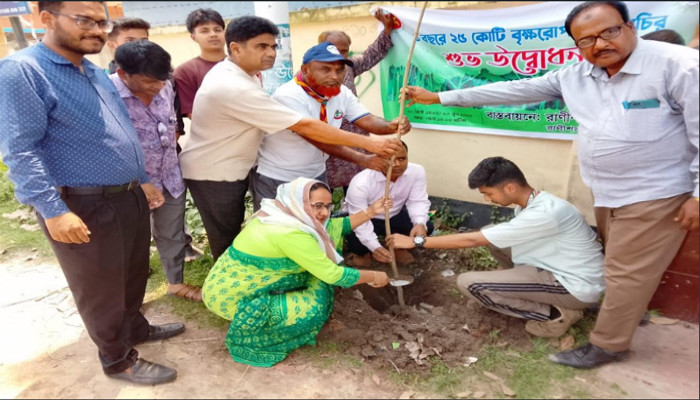 রাণীশংকৈলে বৃক্ষরোপণ কর্মসূচির উদ্বোধন: বেশি বেশি গাছ লাগানোর আহ্বান