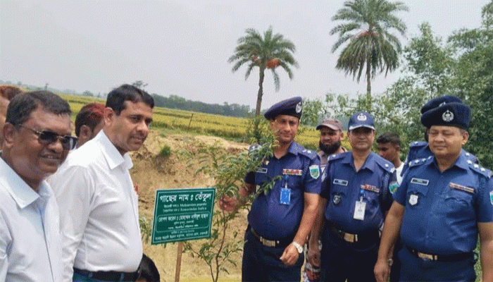 তানোরে বিএমডিএ’র উদ্যোগে খালপাড়ে বৃক্ষরোপণ কর্মসূচির উদ্বোধন