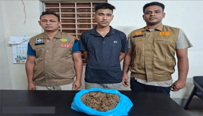 নগরীতে বিপুল পরিমান গাঁজা সহ মাদক কারবারী গ্রেফতার
