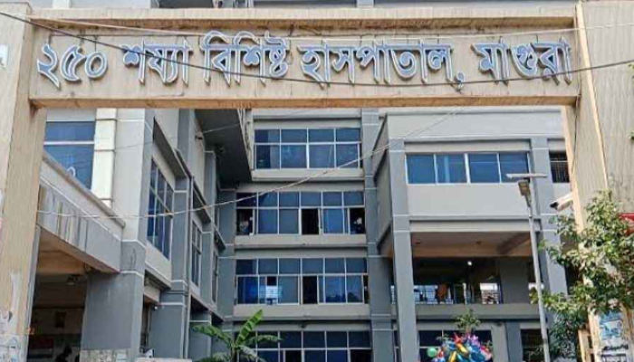 রান্নাঘরে লুকিয়ে থাকা সাপের কামড়ে বৃদ্ধার মৃত্যু