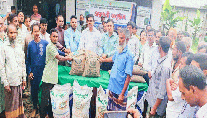 ফুলবাড়ীতে সাড়ে তিন হাজার ক্ষুদ্র ও প্রান্তিক কৃষকের মাঝে বিনামূল্যে সার ও রোপা আমন ধানের বীজ বিতরণ