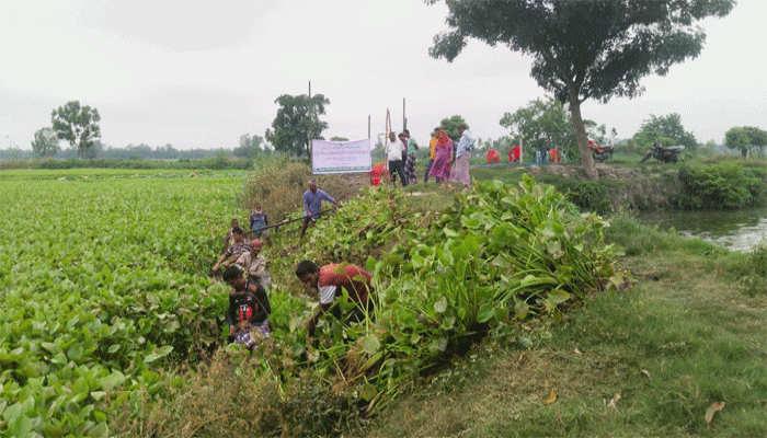 পীরগঞ্জ পালিগাঁও বিলে মাছের অভয়াশ্রম ও বৃক্ষরোপণের উদ্বোধন