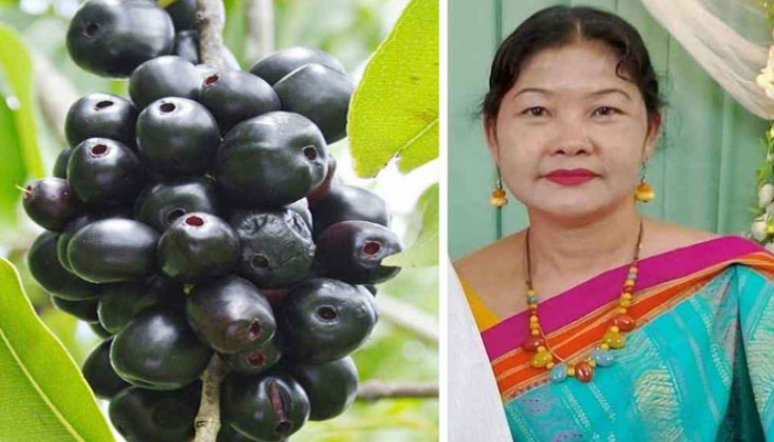 জাম পাড়তে গিয়ে শিক্ষিকার মৃত্যু