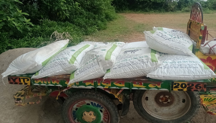 তানোরে সরকারি অনুদানের গো-খাদ্য চোরাপথে বিক্রি