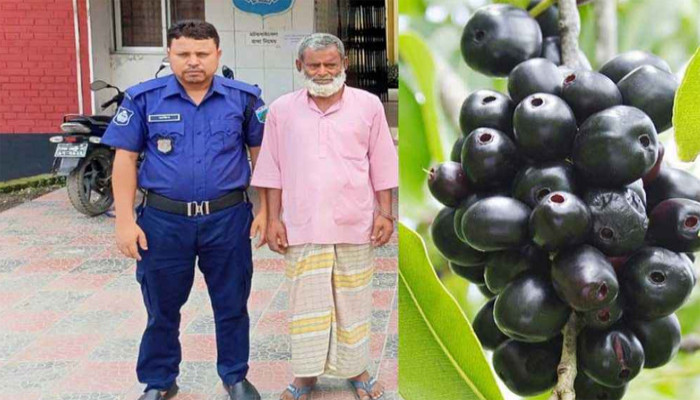 পাবনায়  জাম দেওয়ার লোভ দেখিয়ে প্রতিবন্ধী কিশোরীকে ধর্ষণ