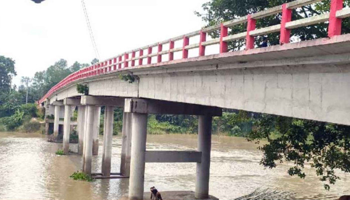 প্রেমিক বিয়েতে রাজি না হওয়ায় নদীতে ঝাঁপ প্রেমিকার