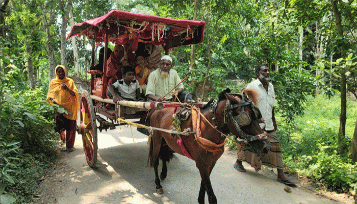নাতি হওয়ার নানার ব্যতিক্রম উল্লাস: ঘোড়ার গাড়িতে গ্রামভ্রমণ, ৩ হাজার মিষ্টি বিতরণ
