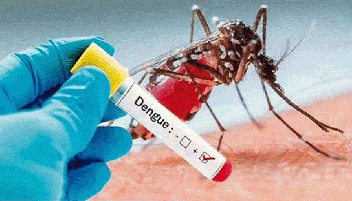 ডেঙ্গুতে ২ জনের মৃত্যু, হাসপাতালে ১৫৭
