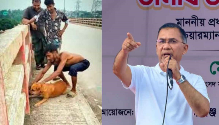 ইট বেঁধে কুকুরকে নদীতে ছুঁড়ে ফেলার ভিডিও প্রধানমন্ত্রীর নজরে, দিলেন যে নির্দেশ  Copied from: https://rtvonline.com/