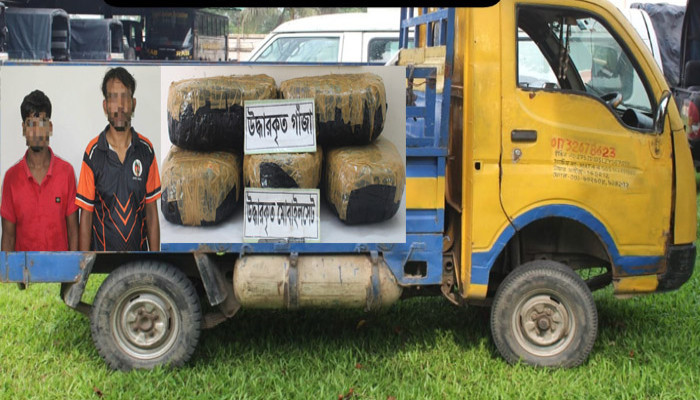 তাড়াশে ১০ কেজি গাঁজাসহ দুই মাদক কারবারি গ্রেফতার, পিকআপ জব্দ