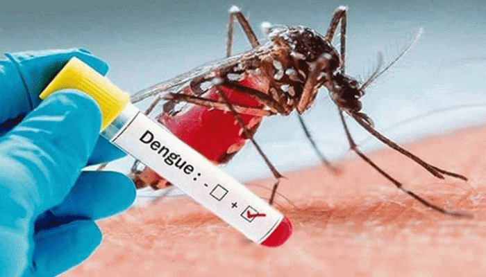 ডেঙ্গুতে একদিনে পাঁচজনের মৃত্যু