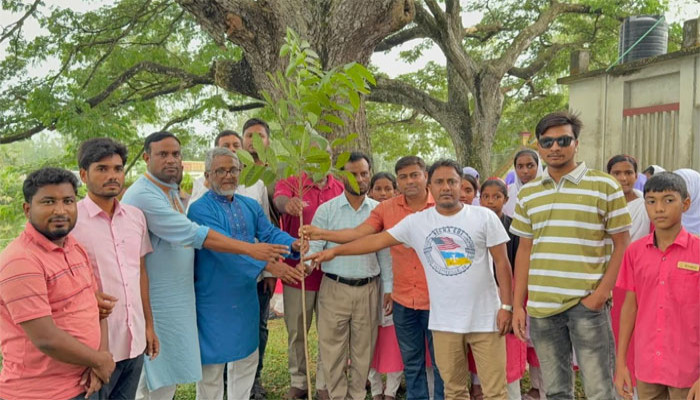 সিংড়ায় "ওয়ান চাইল্ড' ওয়ান ট্রি" কর্মসূচির  আওতায় ক্ষিদ্রবড়িয়া স্কুলে বৃক্ষরোপণ