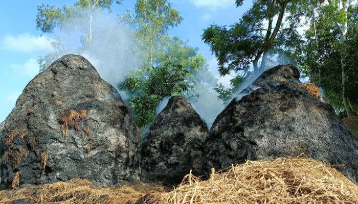 সিংড়ায় গভীর রাতে  স্কুল দপ্তরীর ৪টি খড়ের পালা পুড়ে ছাই
