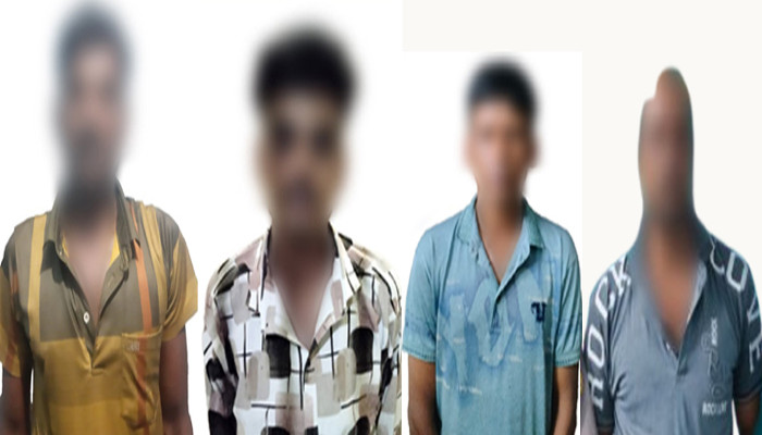 নগরীতে গাঁজার গাছ, হেরোইন, ইয়াবা ও ট্যাপেন্টাডলসহ চারজন মাদক কারবারী গ্রেফতার