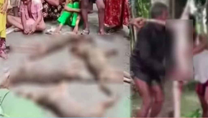 ৭ শিয়াল রান্না করে রুটি দিয়ে খেল বরিশালের বাসিন্দারা!