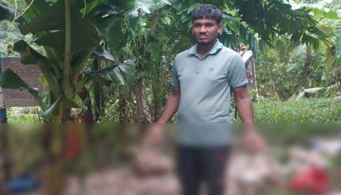 টানা বৃষ্টিতে প্লাবিত ব্রয়লার খামার, ১৫০০ মুরগির মৃত্যু