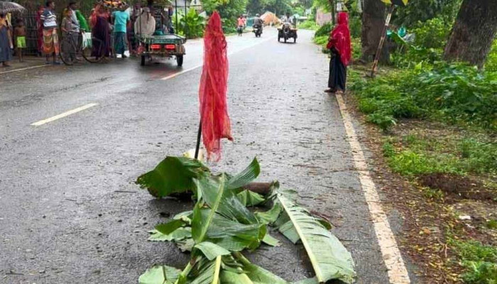 বাসের ধাক্কায় প্রাণ গেল শিশুর