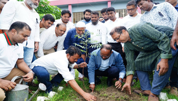 পবায় নিম গাছের চারা রোপণ করলেন প্রতিমন্ত্রী টুকু