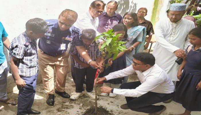 রাজশাহীতে সরকারি প্রাথমিক বিদ্যালয়ে বৃক্ষরোপণ কর্মসূচির উদ্বোধন