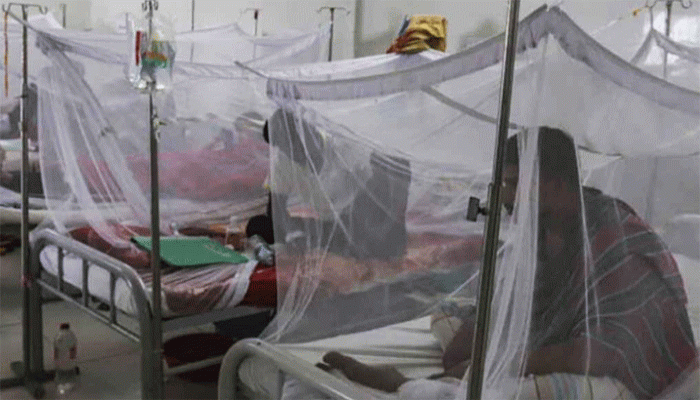 ডেঙ্গু আক্রান্ত হয়ে আরও ২ জনের মৃত্যু