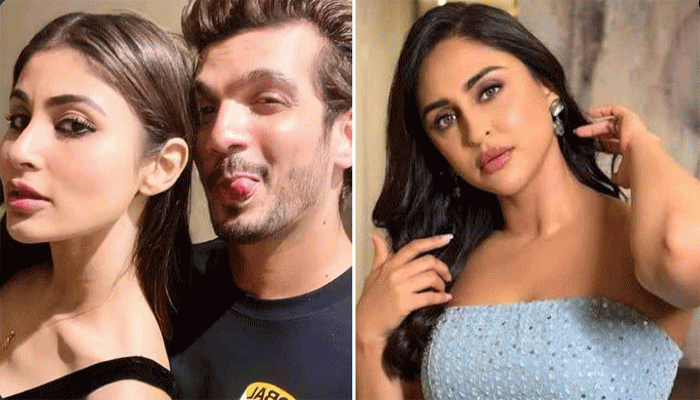 বিচ্ছেদের পরে অর্জুনের সঙ্গে নাম জড়াল মৌনীর, ক্ষোভপ্রকাশ ক্রিস্টলের