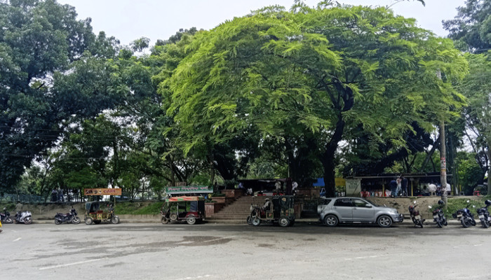 জীববৈচিত্র্য সংরক্ষণ এলাকা ঘোষিত শিমলা পার্ক, এখন প্রয়োজন সকলের দায়িত্বশীল আচরণ