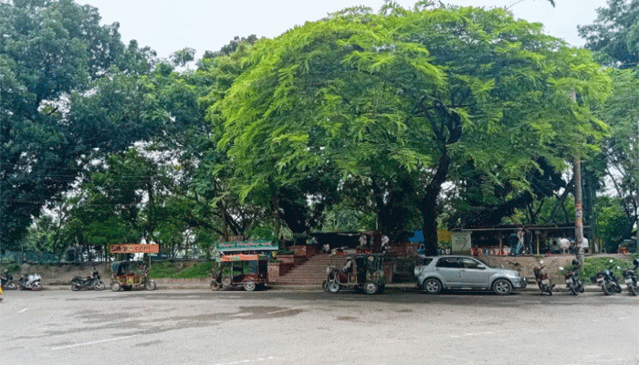জীববৈচিত্র্য সংরক্ষণ এলাকা ঘোষিত শিমলা পার্ক, এখন প্রয়োজন সকলের দায়িত্বশীল আচরণ