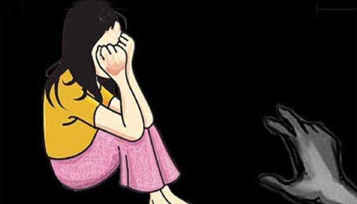 ঘাটাইলে কয়েল কিনতে দোকানে যায় শিশু, ফেরে রক্তাক্ত হয়ে